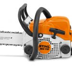 Miniatura de MS 170