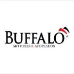 buffalo-1-300x257