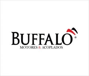 buffalo-1-300x257